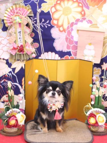 20240126アリューくん